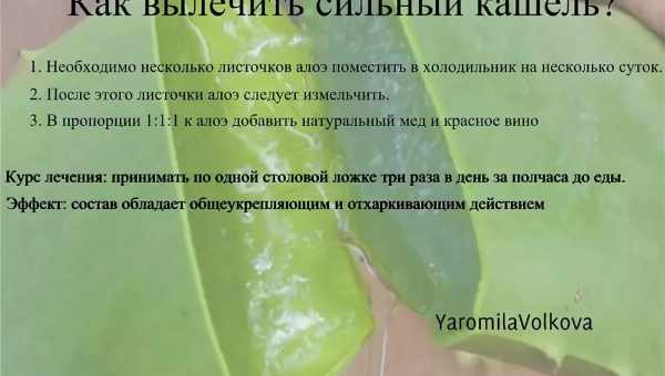 Народные средства от сухого кашля — что может нетрадиционная медицина? Какие народные средства от сухого кашля эффективны?