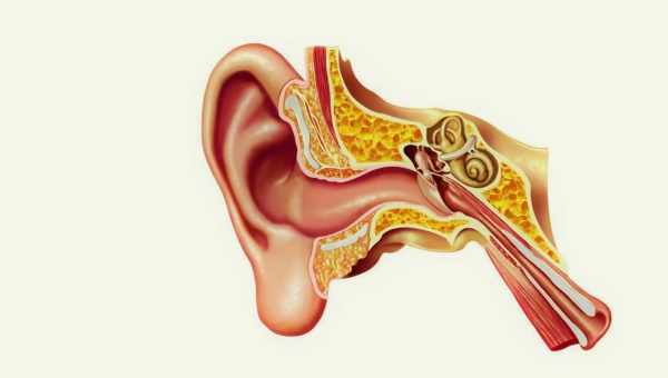 Как проявляется отит среднего уха? Основные симптомы, причины, диагностика, выбор тактики лечения при остром отите среднего уха