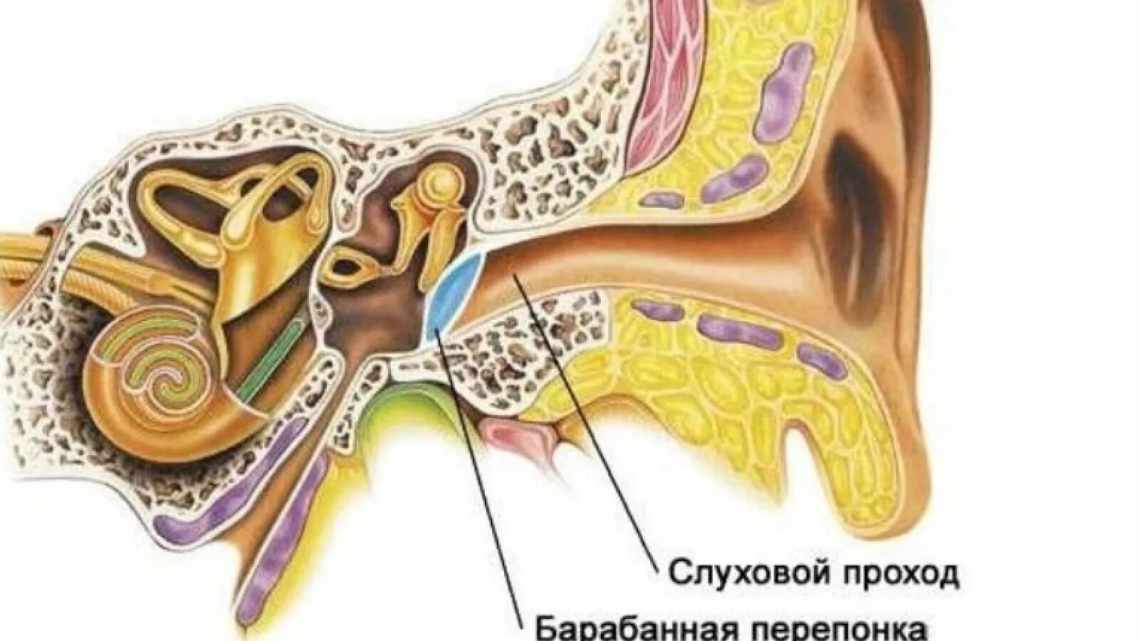 Почему закладывает уши – это серьёзный симптом или ерунда, которая сама пройдёт? Заложило ухо: что делать в домашних условиях