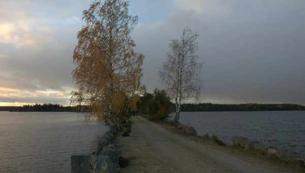 Ландшафтный заказник Толвоярви