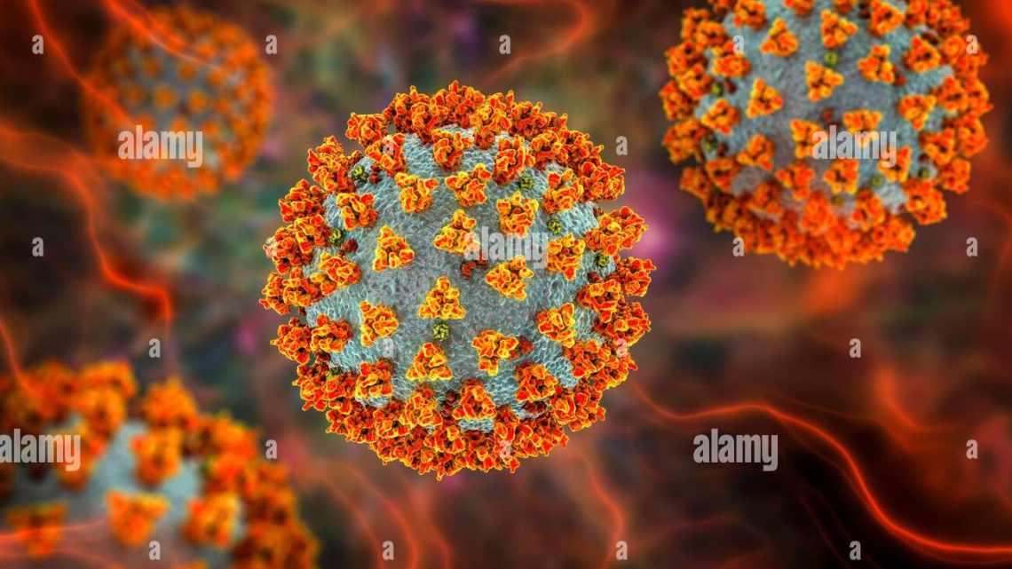 В геномах коронавируса не нашли более заразные мутации