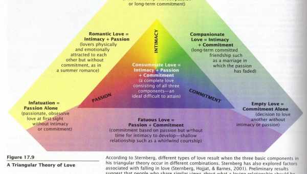 Sternberg's theory of intelligence (GDP)