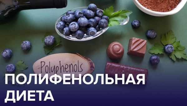 Антиоксиданты в шоколаде положительно влияют на память в пожилом возрасте