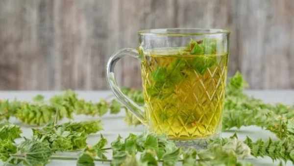 Зеленый чай понижает давление