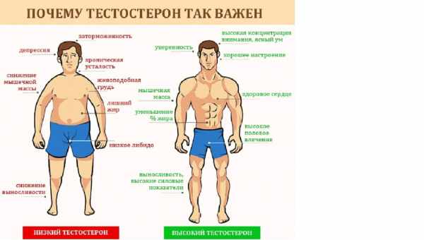 Как поднять уровень тестостерона?