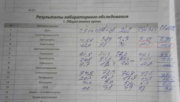 Как поднять гемоглобин при помощи народных средств?