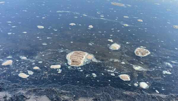 Цереру украсили белыми пятнами криогейзеры из соленой воды