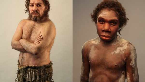 Homo sapiens vs Homo neanderthalensis: почему победитель только один