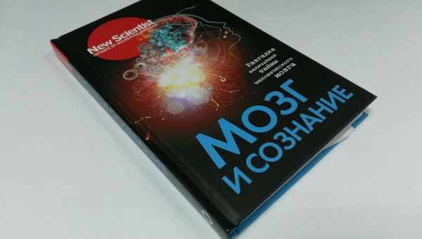 5 лучших книг о человеческом мозге, которые научат вас жить осознанно