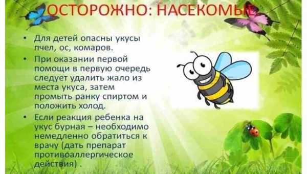 Вот как защититься от укуса комаров: так насекомые больше не будут вам надоедать