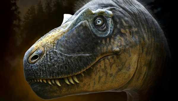 T-Rex был пылким хищником: ученые выяснили, какие из динозавров были хладнокровными, а какие теплокровными