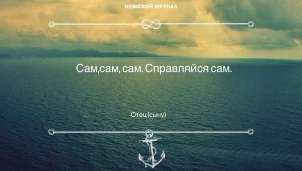 Почему люди никогда не смогут приручить зебр