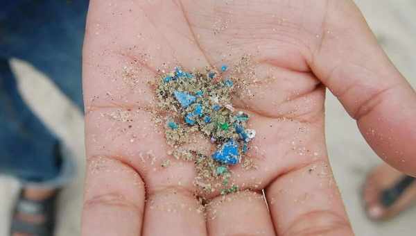 Микрочастицы пластика нашли в грунтовых водах