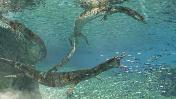 Четыре вида животных 70 миллионов лет назад смогли ужиться в одном гнезде