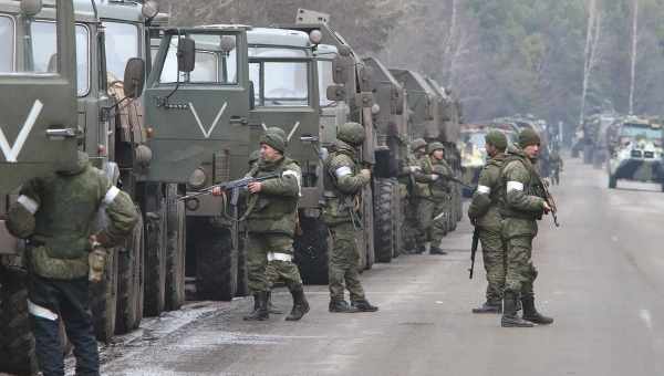 Раннее таяние льда обвинили в гибели потомства одной из крупнейших колоний императорских пингвинов