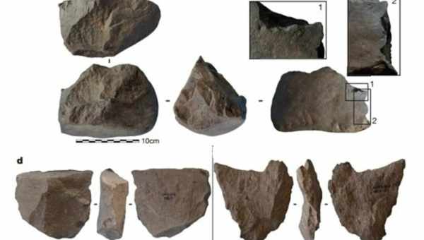 Самые древние небольшие каменные орудия оказались ножами для разделки мяса