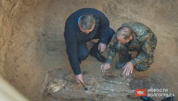 В сарматском захоронении под Ростовом нашли золото и сотню железных стрел