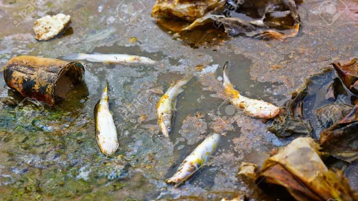 Из грязной воды селективно извлекли ртуть