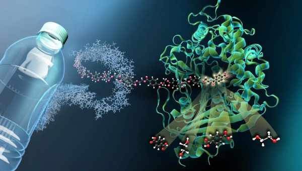 Создан «бионический» фермент с уникальными каталитическими способностями