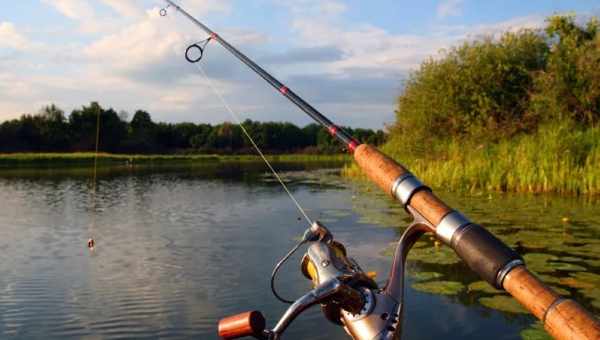 Как выбрать идеальный спиннинг: советы для начинающих и опытных рыболовов