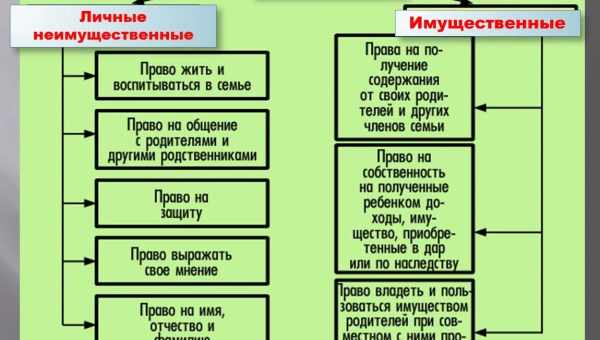 Поняття і принципи виборчого права